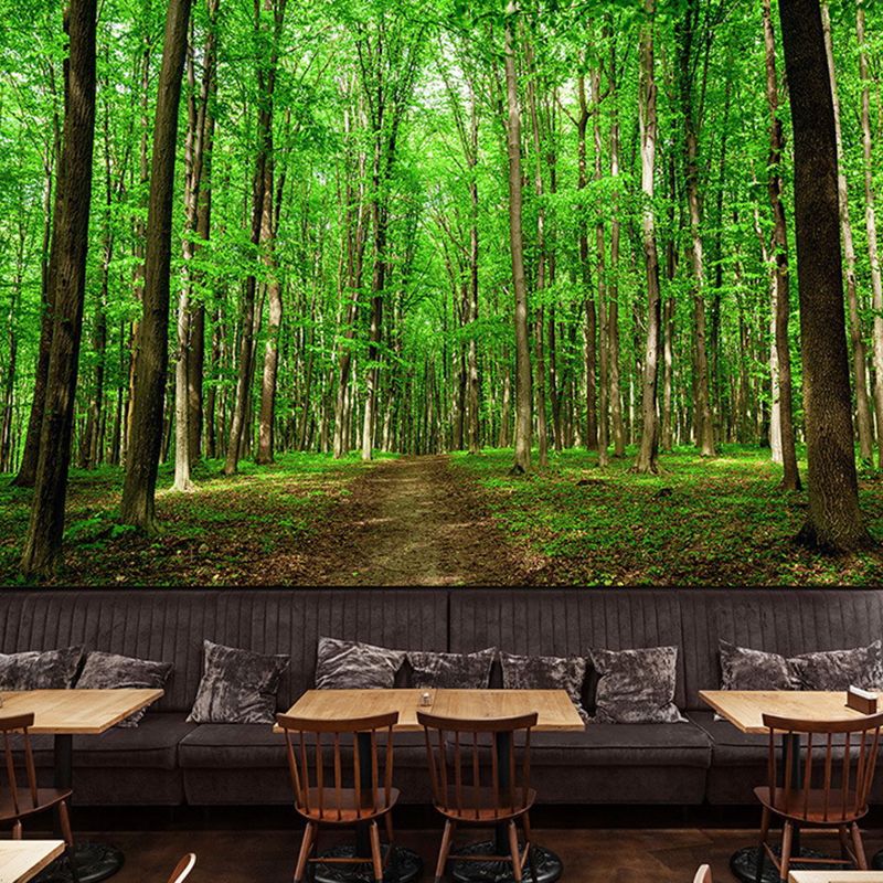 Tropical Jungle Mural Wallpaper for Meeting Room Decoration, Green, Custom Size Available