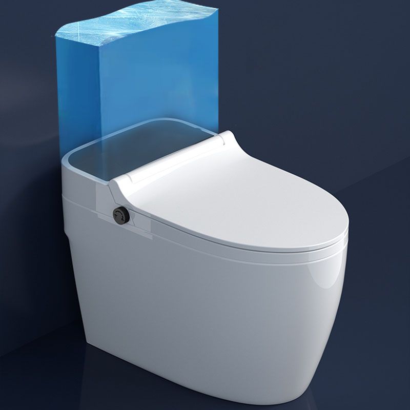 Contemporary Flush Toilet Floor Mounted One-Piece Toilet Porcelain Toilet Bowl