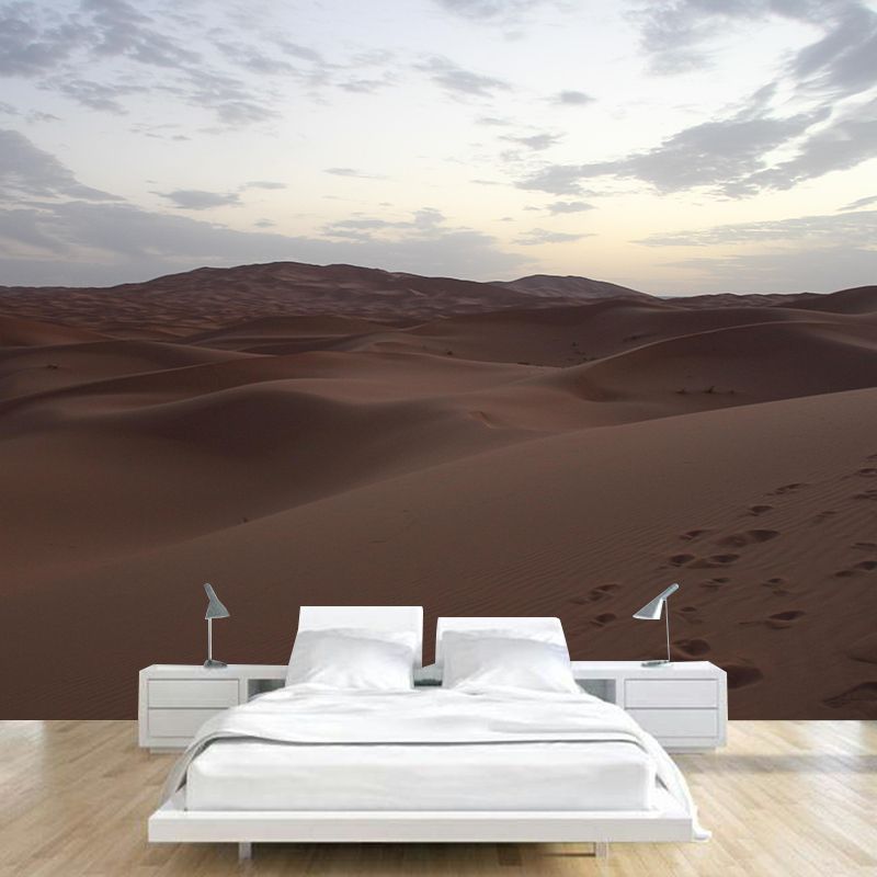 Desert Mural Wallpaper Horizontal Photography Style for Guest Room Decor