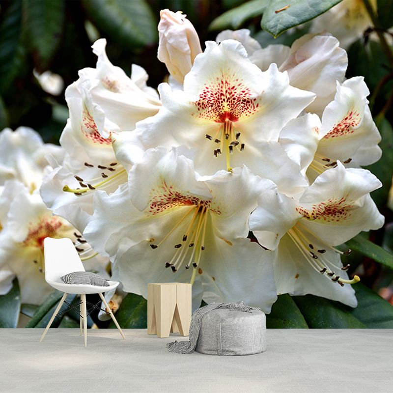 Bright Rhododendron Mural Stain Resistant Wall Art for Living Room Sitting Room