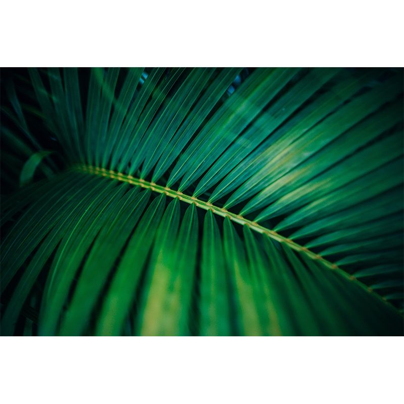 Vintage Wall Mural Tropical Plant Leaf Pattern Drawing Room Wall Mural