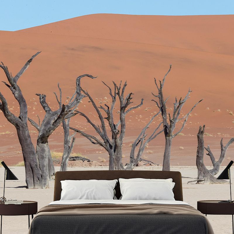 Home Decor Contemporary Photography Style Desert Mural Mildew Resistant