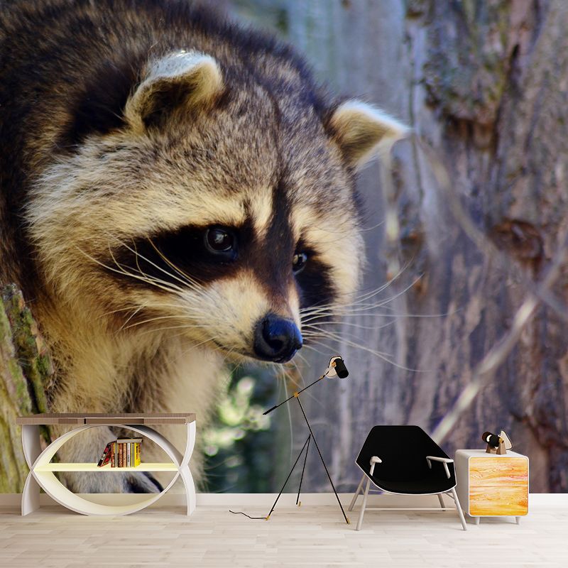 Lovely Raccoon Wall Mural Wallpaper Mildew Resistant Wall Covering for Decoration