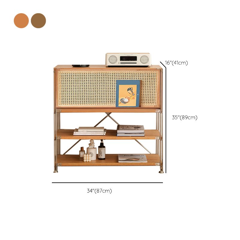 Industrial Accent Cabinet with 2 Shelves and 1 Door in Solid Wood
