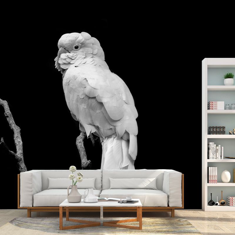 Parrot Print Mildew Resistant Wall Mural Wild Animal Wallpaper Sleeping Room Wall Mural