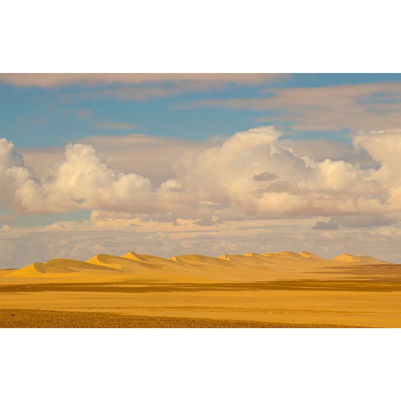 Photography Mural Modern Mildew Resistant Landscapes Interior Wall Murals