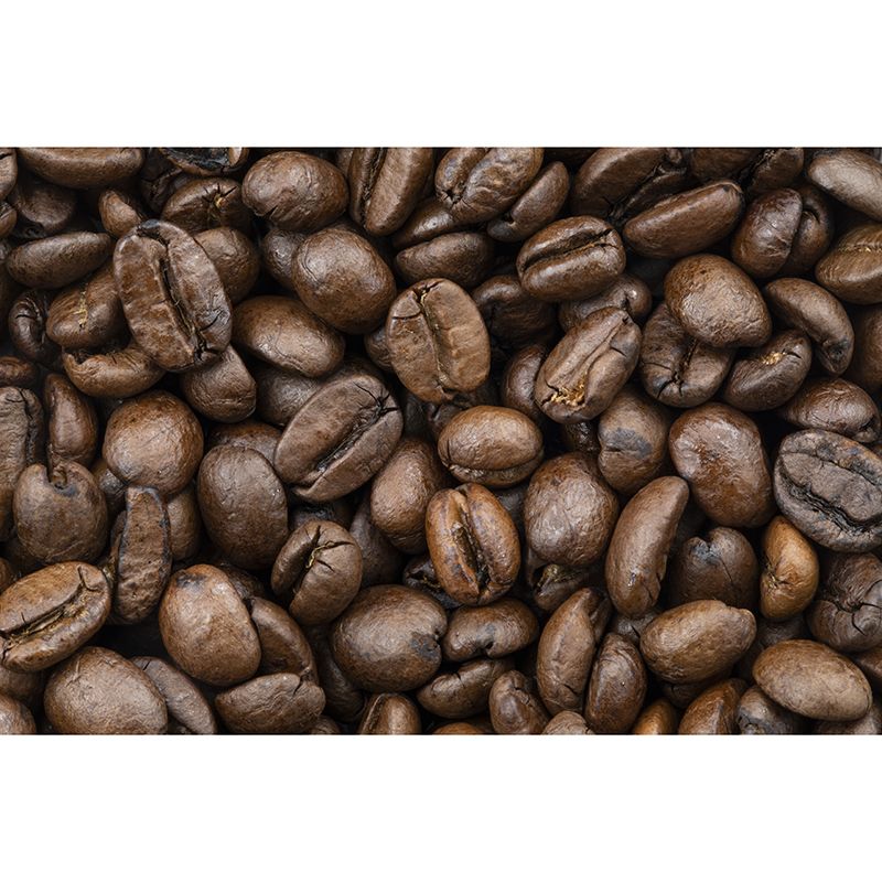 Coffee Beans Wallpaper Mural Modernist Coffee Shop Wall Decor, Stain Resistant
