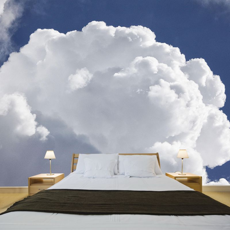 Photography Mildew Resistant Sky Mural Living Room Wall Mural