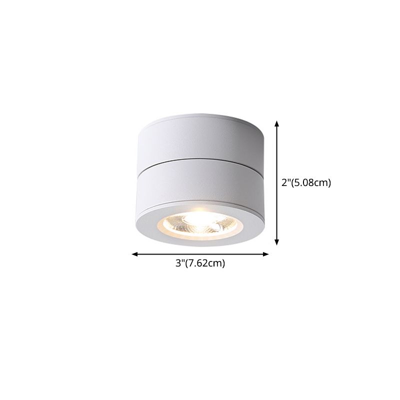 Modern Creative LED Rotatable Ceiling Light Aluminium Cylindrical Flush Mount with Clear Glass Shade