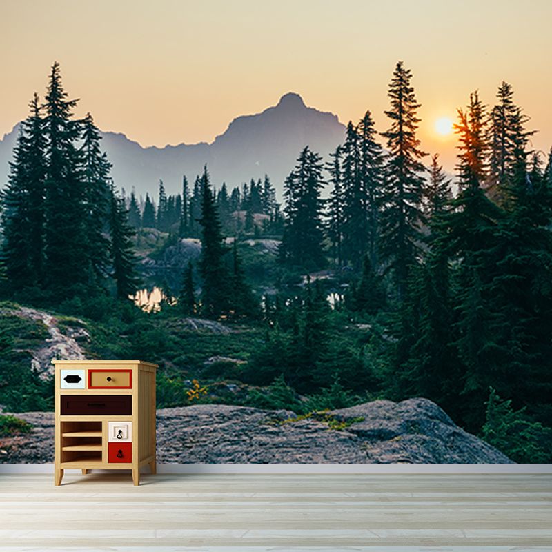 Photography Wall Mural Wallpaper Quiet Forest Sitting Room Wall Mural