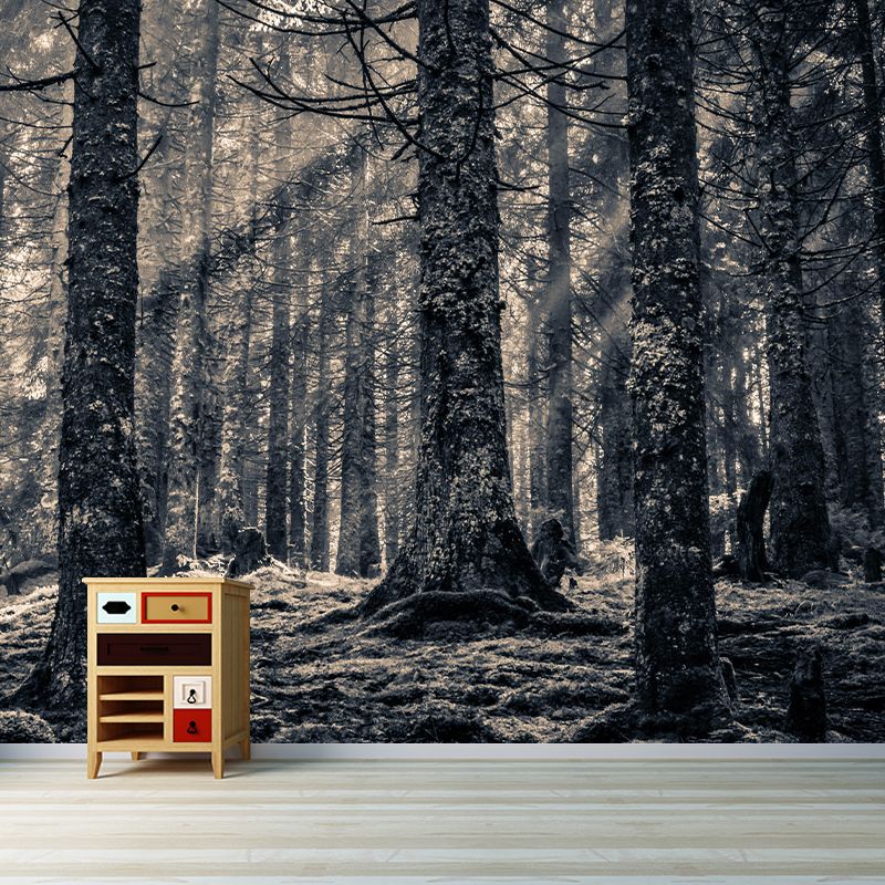 Natural Landscape Wall Mural Decorative Dining Room Wall Art for Decoration