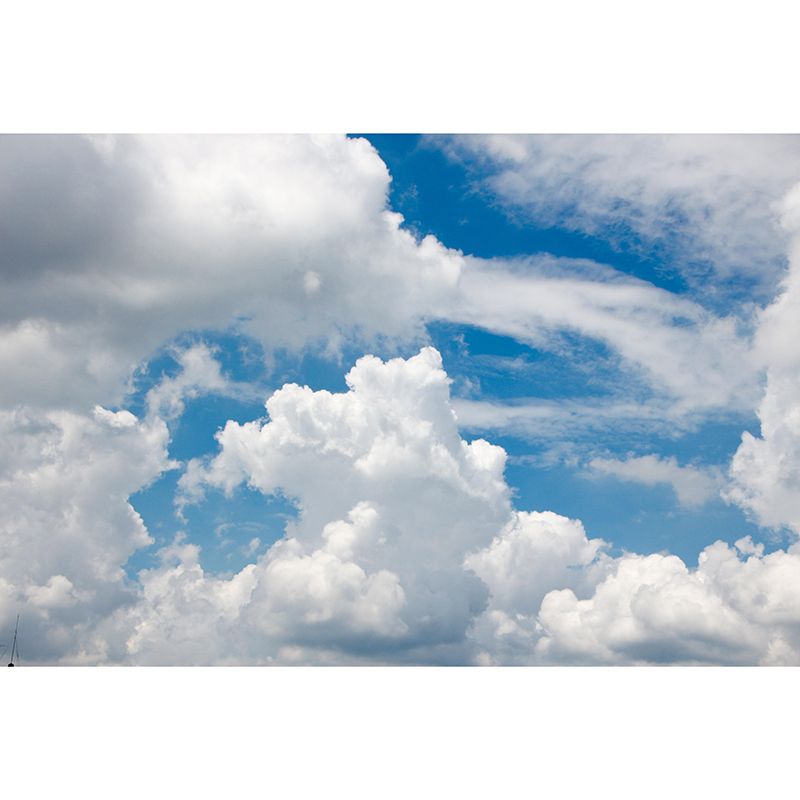 Photography Wallpaper Modern Stain Resistant Sky Pattern Bedroom Wall Mural