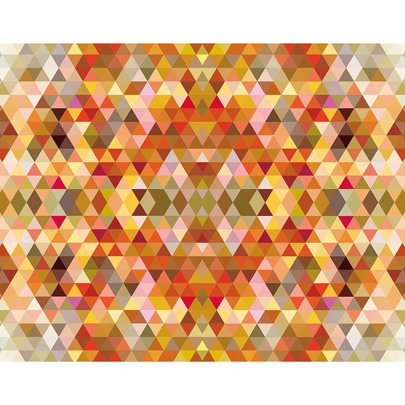 Modern Stain Resistant Wall Mural Geometric Pattern Illustration Wall Mural