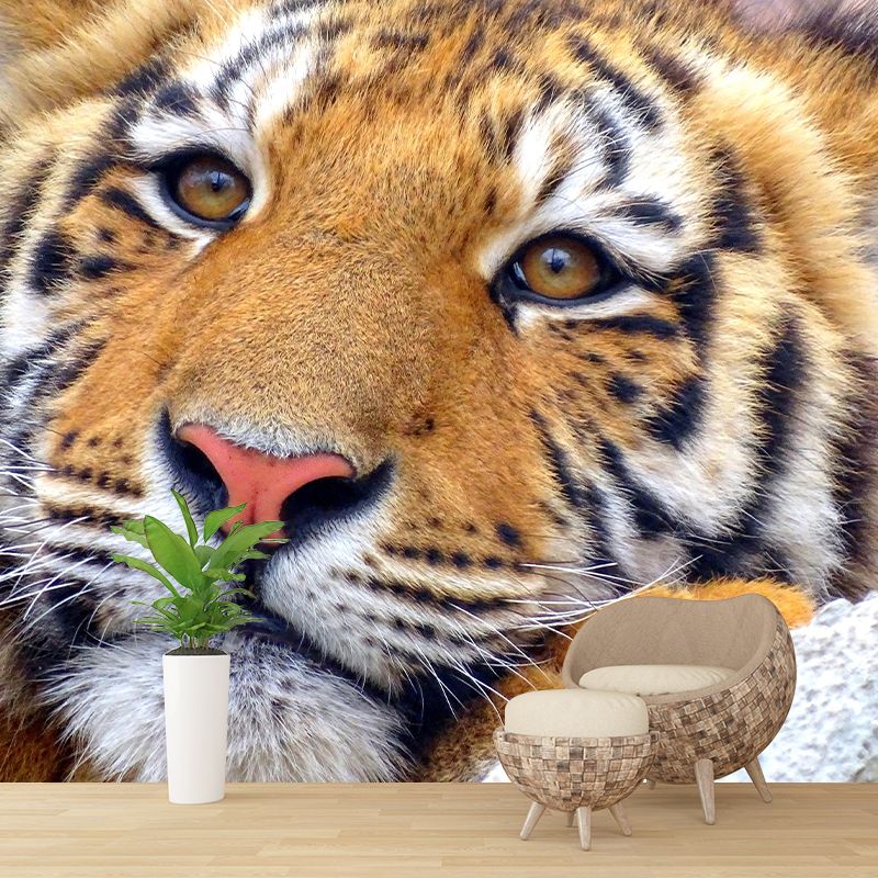 Contemporary Tiger Face Close-up Mural Decal Sitting Room Moisture Resistant Wall Decor