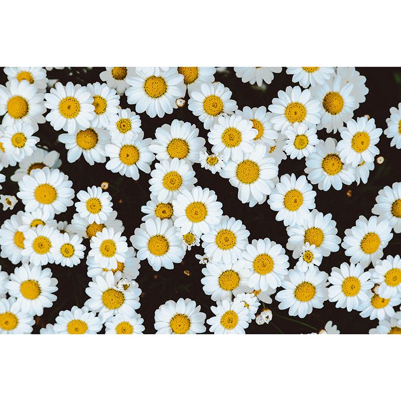 Photography Plants Mural Mildew Resistant Wallpaper Sleeping Room Wall Mural