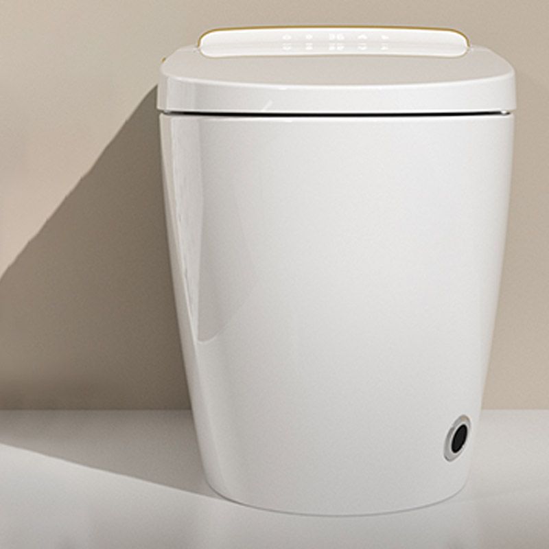 Modern White Concealed Tank Toilet Skirted ABS Floor Mounted Flush Toilet with Seat