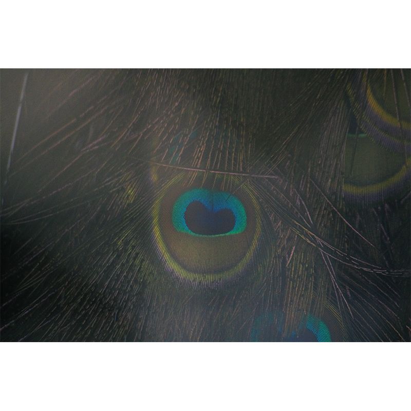 Plumage Mildew Resistantt Wall Art for Living Room Bedroom, Made to Measure