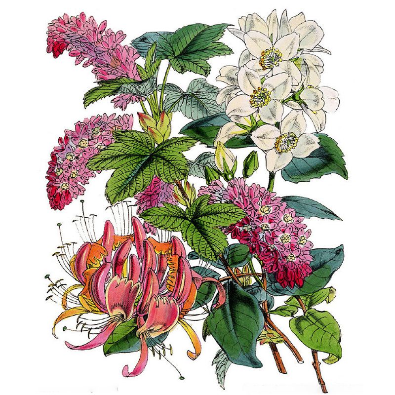 Stain Resistant Flowers Wall Mural Non-Woven Contemporary Wall Decor for Girls Room