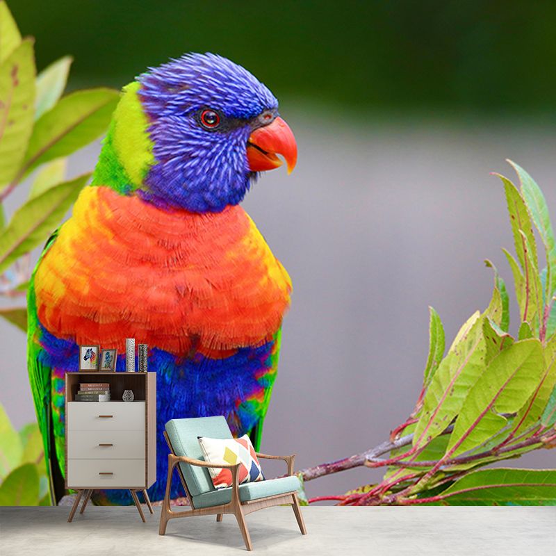 Wild Animal Mildew Resistant Mural Contemporary Sitting Room Wall Mural