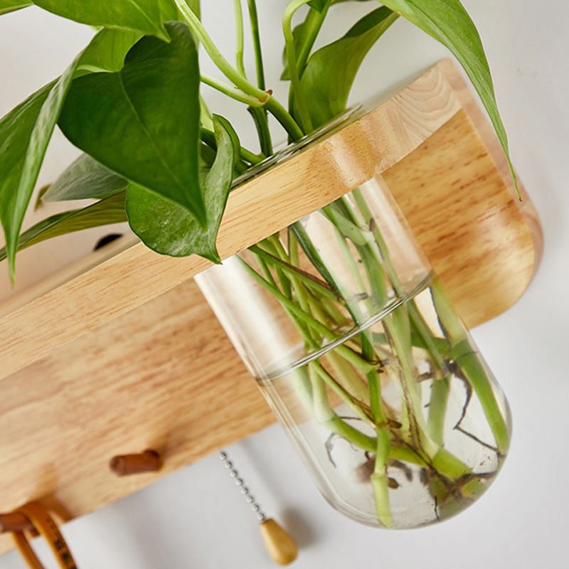 Modern Wooden Wall Sconce Simple Wall Light with Glass Shade without Plants