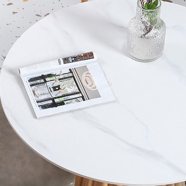 Round Top Dining Table Contemporary Dining Table with Pedestal Base