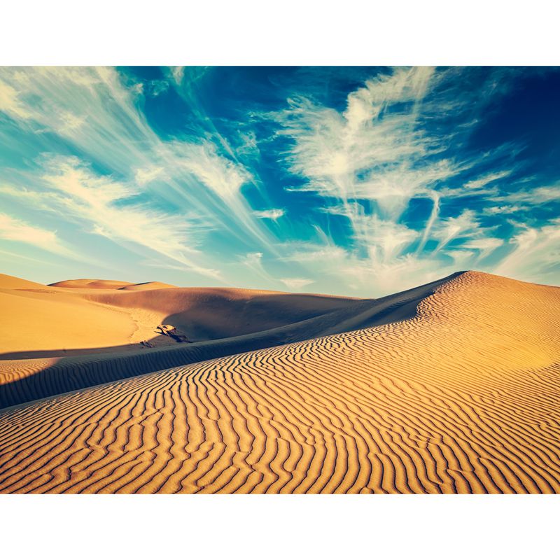 Yellow Contemporary Mural Full-Size View of Desert and Sky Wall Decor for Bedroom