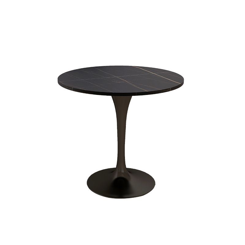 Modern Round Dining Table for Kitchen Dinette Table with Metal Tulip