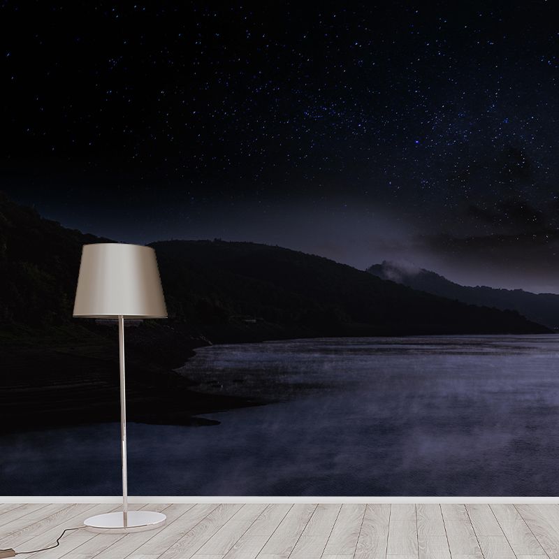 Dark Color Sky Wall Murals Moisture Resistant Contemporary Wall Art for Bedroom