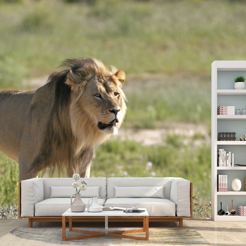 Green Modern Wall Paper Mural Big Lion Walking Wall Decor for Bedroom, Non-Woven