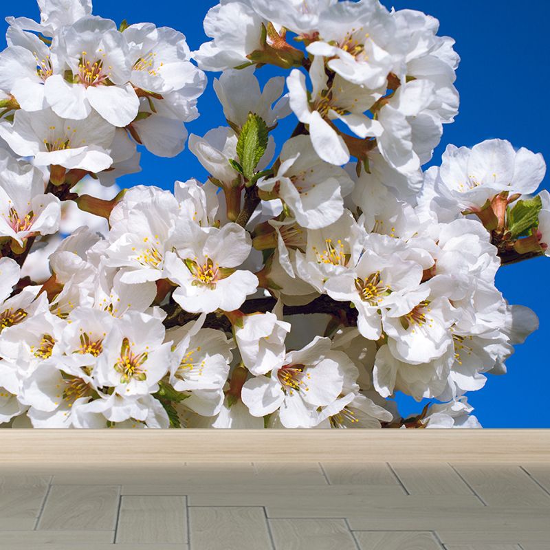 Whole Cherry Wall Mural for Bedroom Floral Print Wall Art in Blue for Interior Decor