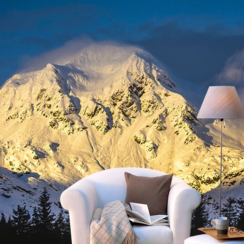Alpine View Mural Water Resistant for Living Room Wall Decor, Made to Measure