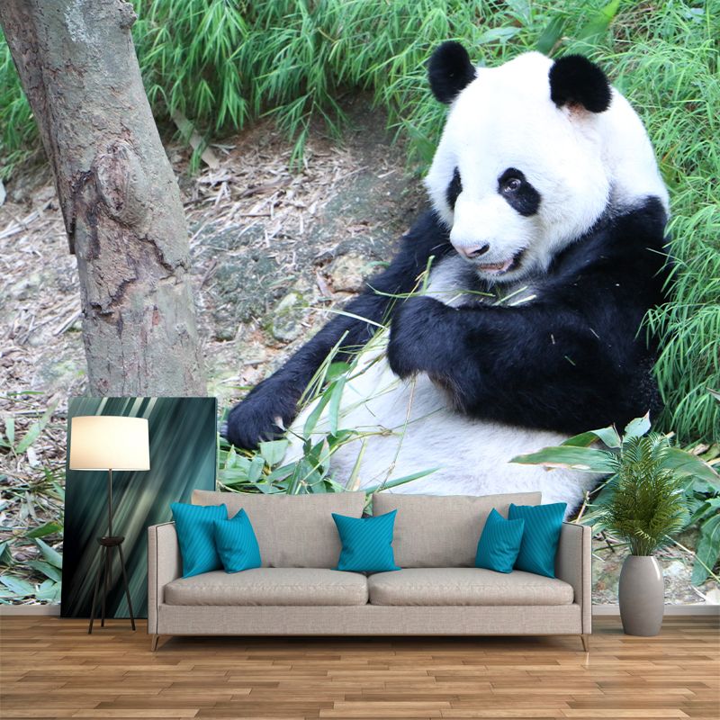 Panda Contemporary Mural Decal Sitting Room Moisture Resistant Wall Decor
