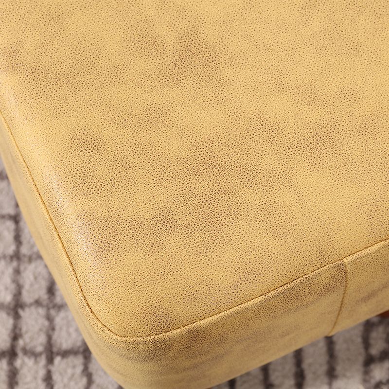 Contemporary Standard Stain Resistant Pure Color Leather Indoor Standard