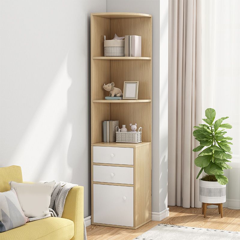 Contemporary Accent Cabinet with Drawers and 1 Wooden Door and Shelves