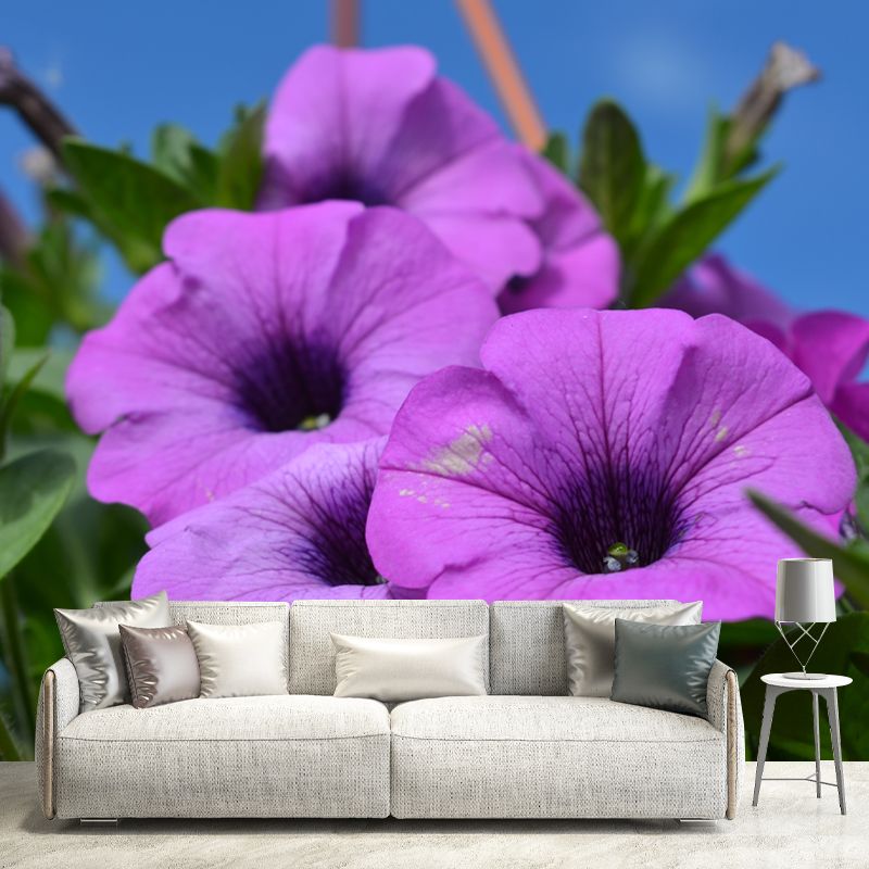 Morning Glory Mural Wallpaper Contemporary Bathroom Wall Covering, Waterproofing