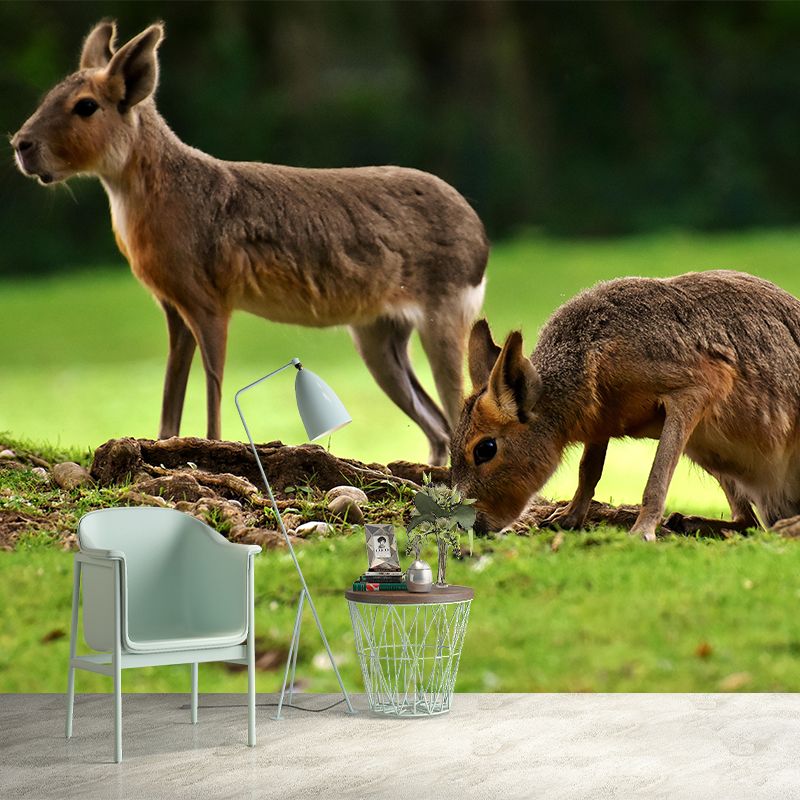 Photography Pampas Rabbit Mural Decorative Wallpaper Decor for Living Room