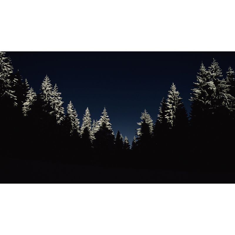 Environmental Wall Mural Wallpaper Forest Living Room Wall Mural