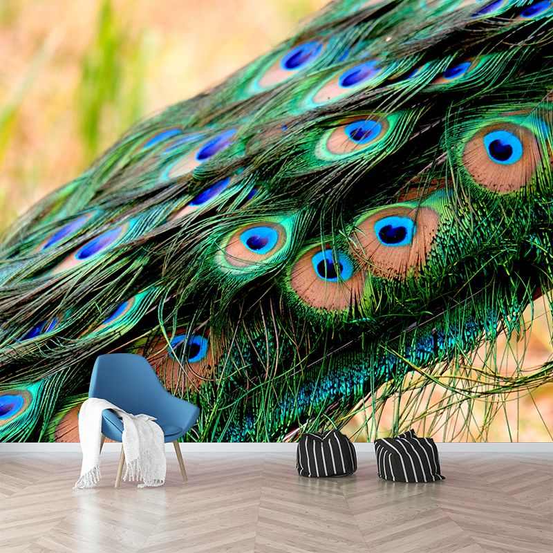 Beautiful Peacock Feathers Mural Customized Modern Wall Covering for Bedroom