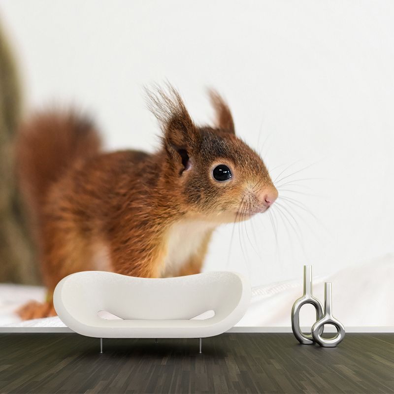 Customized Squirrel Wall Mural Wallpaper Horizontal Photography for Sitting Room