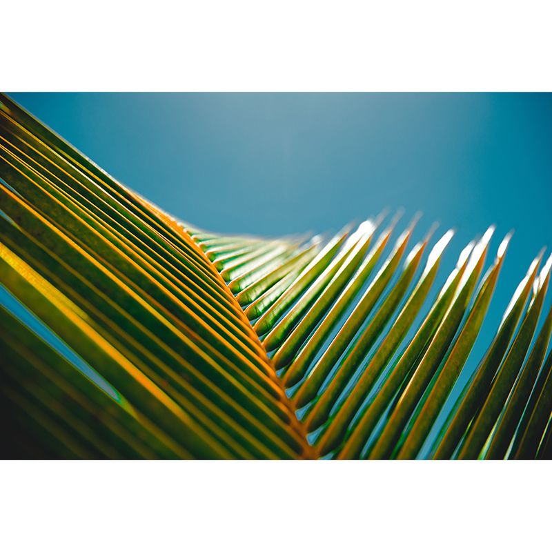 Tropical Plants Photography Stain Resistant Mural Wallpaper Living Room Wall Mural