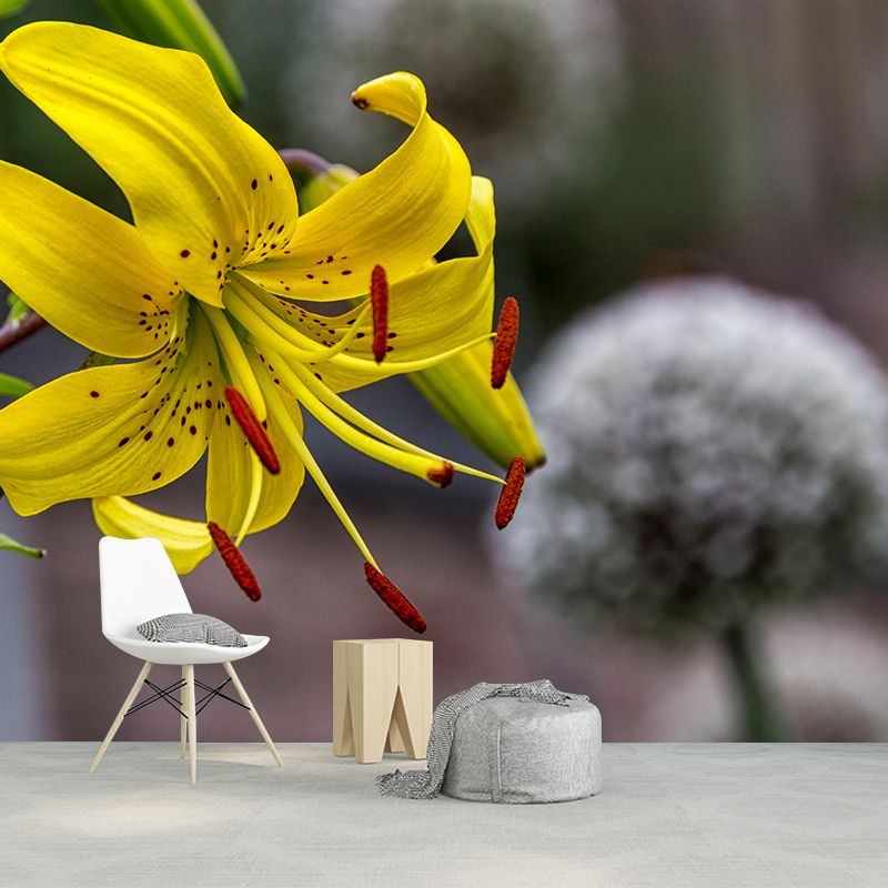 Lily Blooming Mural Wallpaper Stain Resistant Wall Covering for Sitting Room