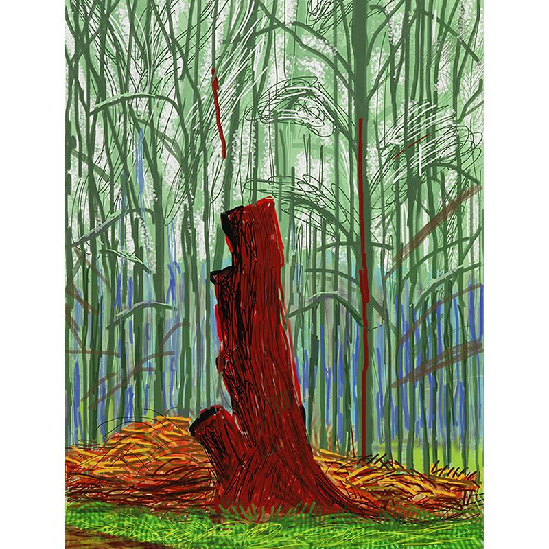 Illustration Wood Trunk Mural Decal for Home Gallery, Orange-Green, Customized Size