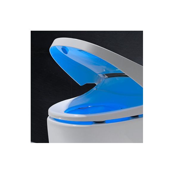 Contemporary Ceramic Flush Toilet Floor Mounted Toilet Bowl with Seat for Bathroom