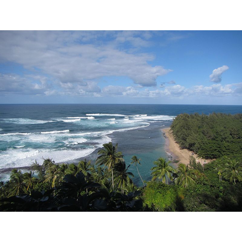 Photography Wall Mural Wallpaper Tropical Landscape Sitting Room Wall Mural