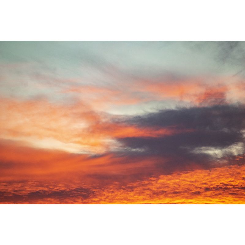 Home Decor Clear Sky Mural Decal Customized Contemporary Wall Covering