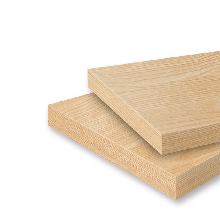 Modern Standard Bookcase Wooden White Bookshelf with Cabinets