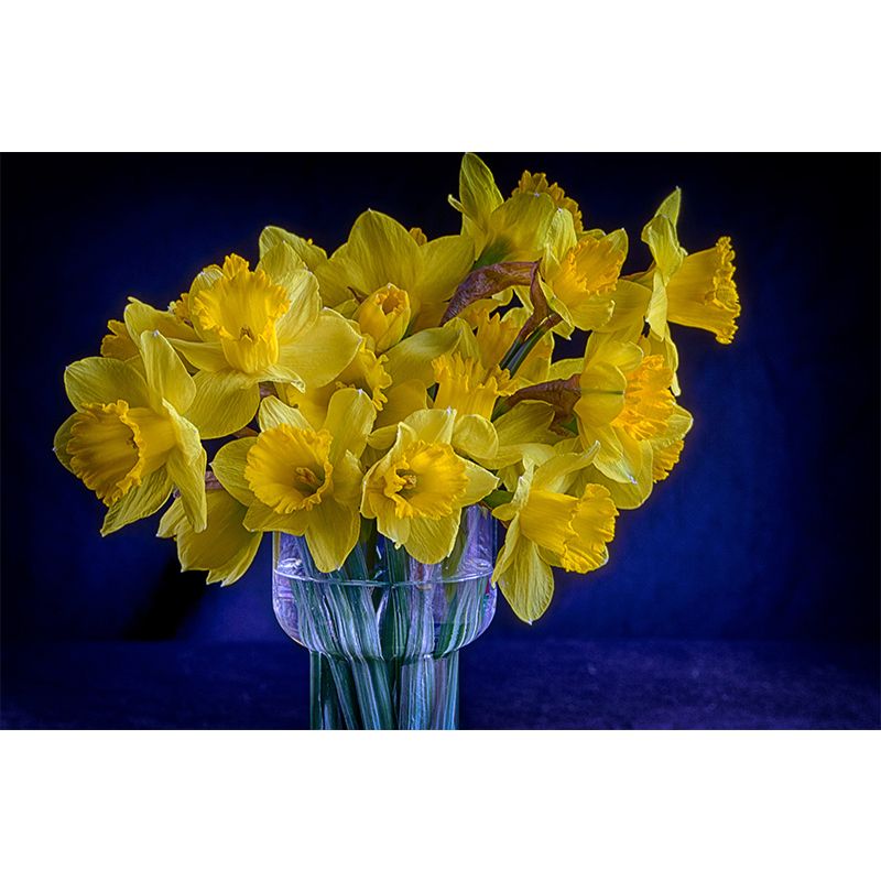 Photography Packed Flower Mural Wall Decor Mildew Resistant Wall Mural for Decoration