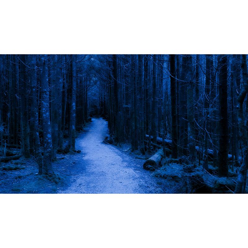 Mildew Resistant Forest Mural Wall Covering Decorative for Wall Decor