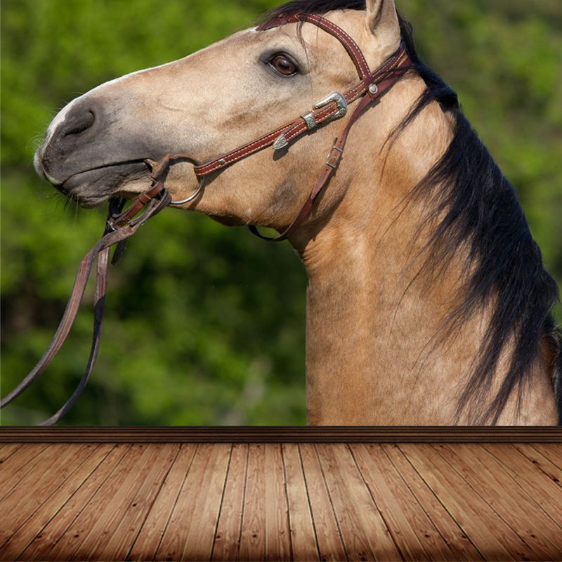 Large Tall Horse Mural Decal Contemporary Tameable Animals Wall Covering in Brown