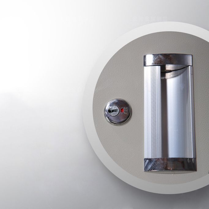 Modern & Contemporary Hinged Door Cabinet Gray Metal Storage Cabinet